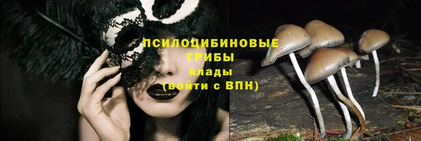 стафф Балабаново