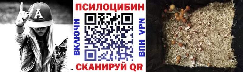 Псилоцибиновые грибы мухоморы  купить закладку  Кунгур 