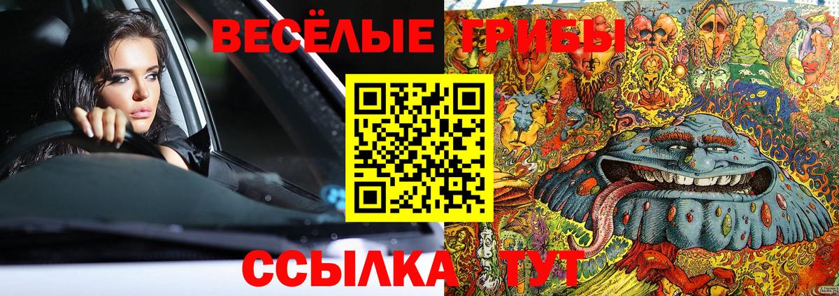 Псилоцибиновые грибы прущие грибы Кунгур